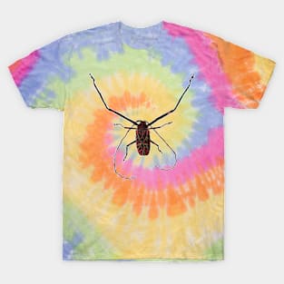 Harlequin Beetle Insect Tee T-Shirt